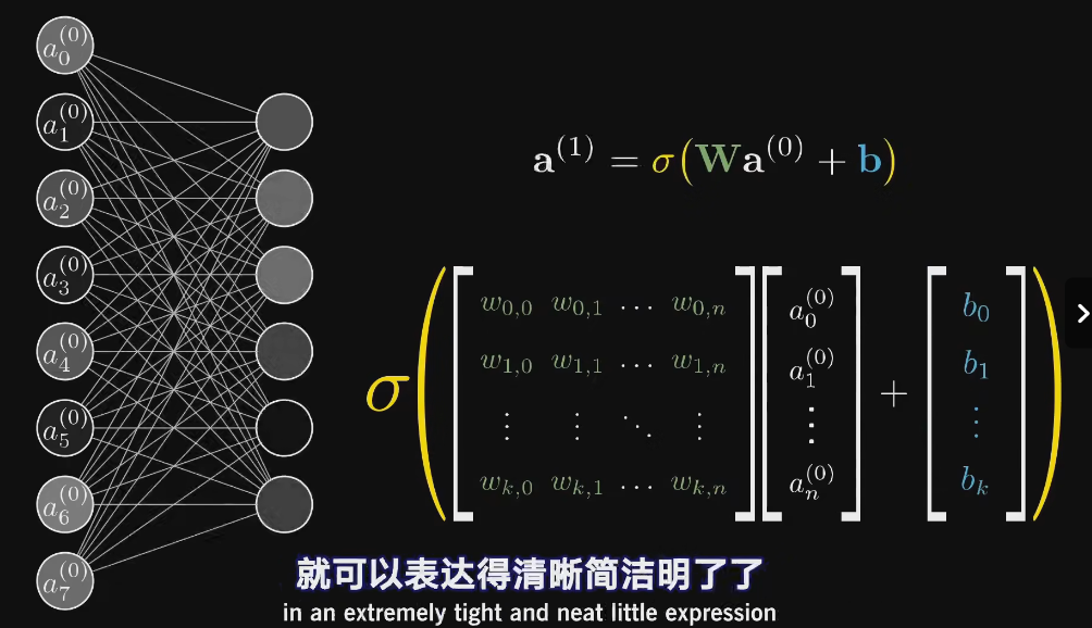 image-20250316145729703